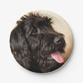 Labradoodle Paper Teller, 7 Zoll Pappteller (Vorderseite)