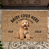 Labradoodle Personalisiert Hund Lover Doormat Fußmatte