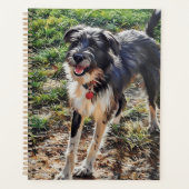 Labradoodle Planner Planer (Vorderseite)