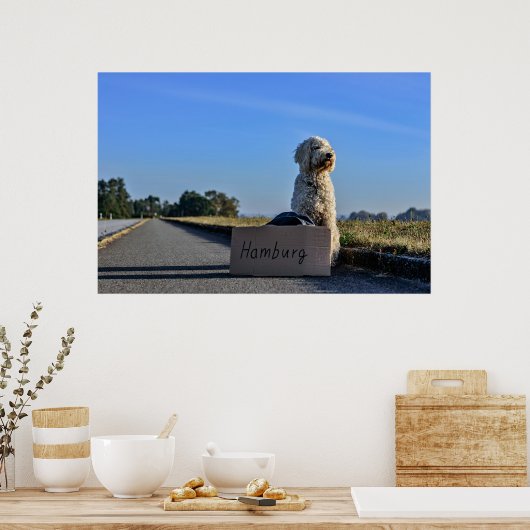Labradoodle Poster (Küche)