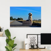 Labradoodle Poster (Heimbüro)