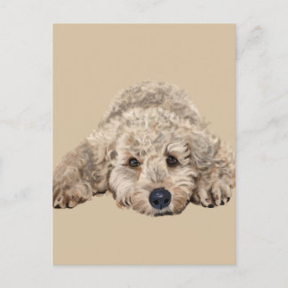 Labradoodle Postkarte