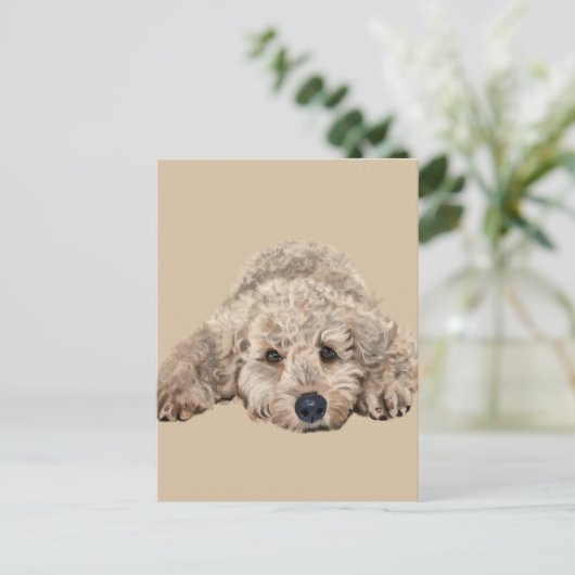 Labradoodle Postkarte (Stehend Vorderseite)