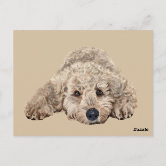 Labradoodle Postkarte (Rückseite)