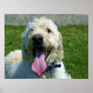 Labradoodle print poster
