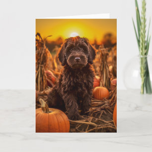 Labradoodle Pup Erntedank Feiertagskarte