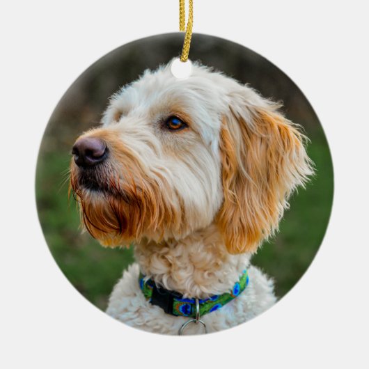 Labradoodle Puppy Dog Keramik Ornament (Vorne)