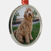 Labradoodle Puppy Dog Ornament Aus Metall (Rechts)
