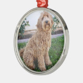 Labradoodle Puppy Dog Ornament Aus Metall (Links)