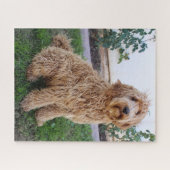 Labradoodle Puppy Dog Puzzle (Horizontal)