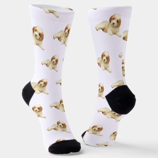 Labradoodle Puppy Dog Socken (Gewinkelt)