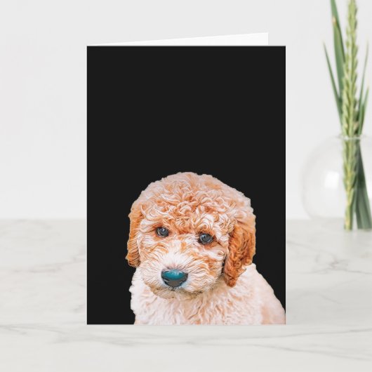 Labradoodle Puppy Karte (Vorderseite)