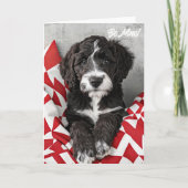 Labradoodle Puppy Valentine Card Dankeskarte (Vorderseite)