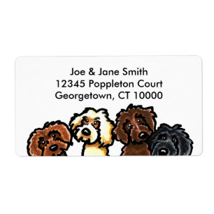 Labradoodle Regenbogen