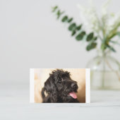 Labradoodle Standard, 3,5" x 2,0" Platzkarte (Stehend Vorderseite)
