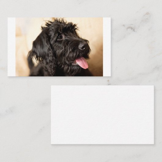 Labradoodle Standard, 3,5" x 2,0" Platzkarte (Vorne/Hinten)