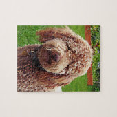 Labradoodle "Stella" Puzzlespiel Puzzle (Horizontal)