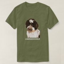 LABRADOODLE