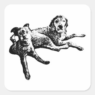 Labradoodle & Terrier Duo Tinten-Kunst-Aufkleber Quadratischer Aufkleber