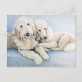 Labradoodle und Standard Poodle Dog Art Postkarte (Vorderseite)