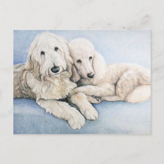 Labradoodle und Standard Poodle Dog Art Postkarte (Vorderseite)
