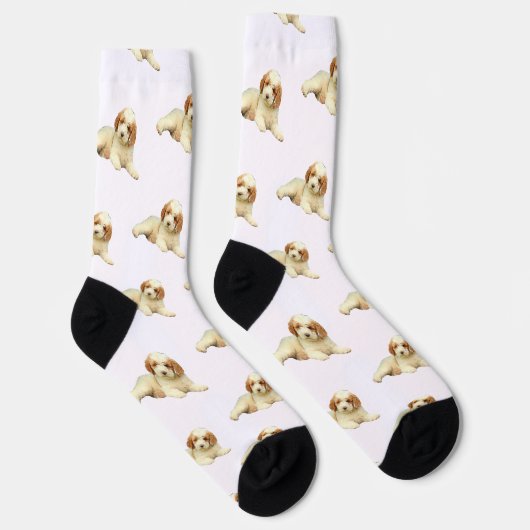 Labradoodle-Welpe Hund Socken (Rechts)