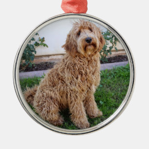 Labradoodle Welpenhund Ornament Aus Metall