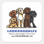 Labradoodle Züchter Custom Marketing Quadratischer Aufkleber (Vorderseite)