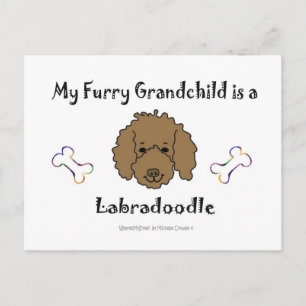 LabradoodleChocolate Postkarte