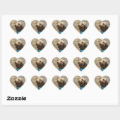 Labradoodles haben meinen Sticker (Blatt)