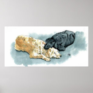 Labradoodles im Liebe-Leinwand-Druck Poster
