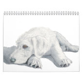 Labradoodles Kalender (Titelbild)