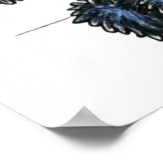 Labradoodles Schwarz Gelb verschraubt Poster (Ecke)