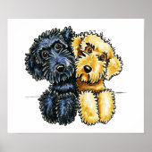 Labradoodles Schwarz Gelb verschraubt Poster (Vorne)