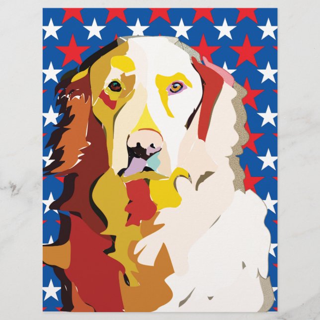 labrador3 (Vorderseite)