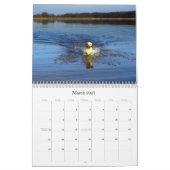 Labrador 2009 kalender (Mär 2027)