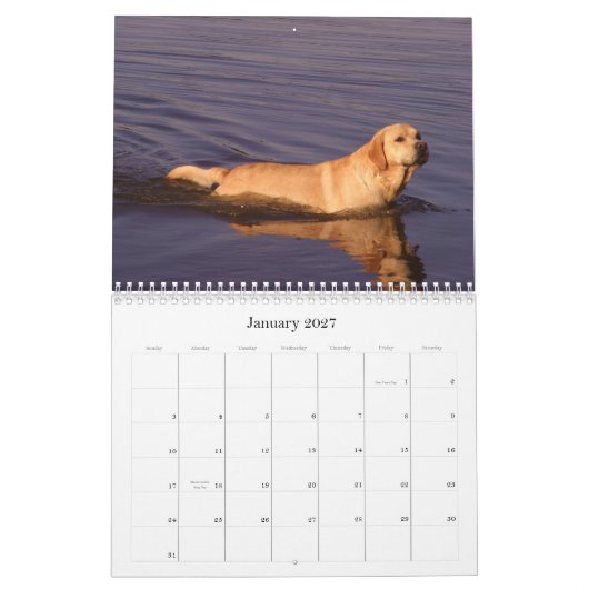 Labrador 2009 kalender (Jan 2027)