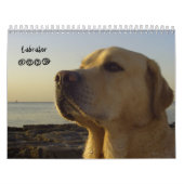 Labrador 2009 kalender (Titelbild)