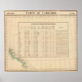 Labrador 29 poster (Vorne)