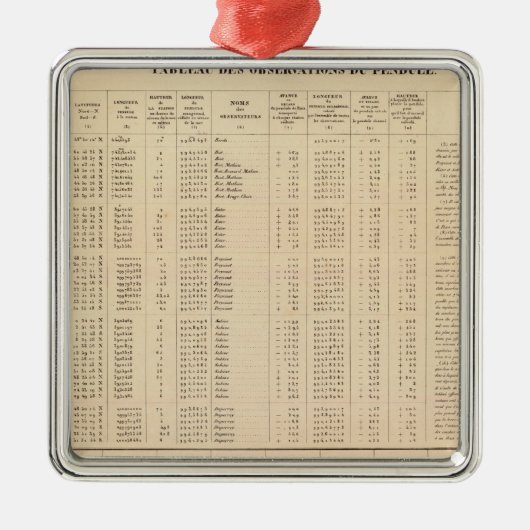 Labrador 29 silbernes ornament (Vorne)