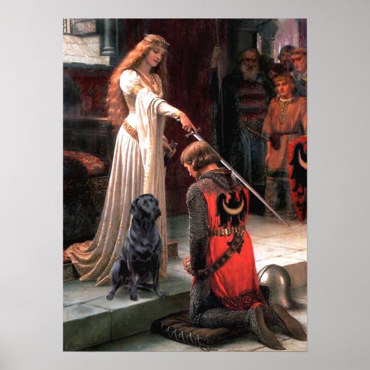 Labrador 4 (schwarz) - Die Akkolade Poster (Vorne)