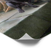 Labrador 4 (schwarz) - Die Akkolade Poster (Ecke)