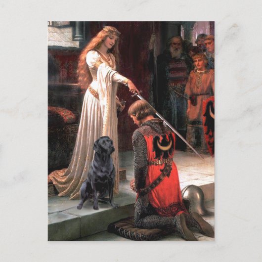 Labrador 4 (schwarz) - Die Akkolade Postkarte (Vorderseite)