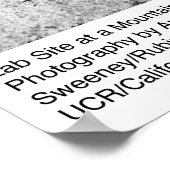 Labrador am Berg von Ansel Adams Poster (Ecke)