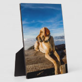 Labrador am Strand Fotoplatte (Seite)
