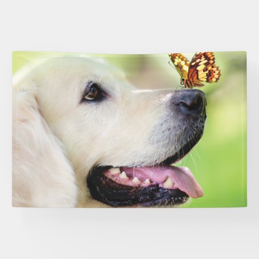 Labrador And Butterfly Throw Pillow Banner (Horizontal)