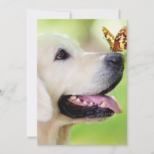 Labrador And Butterfly Throw Pillow Dankeskarte (Vorderseite)