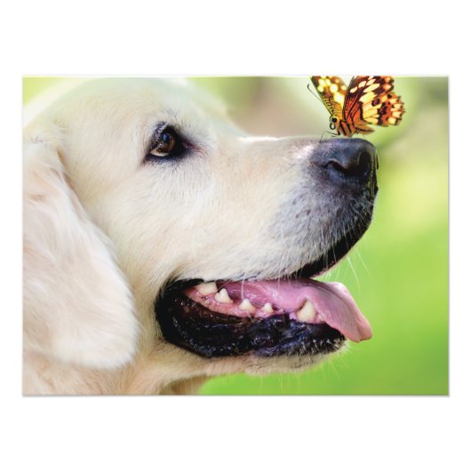 Labrador And Butterfly Throw Pillow Fotodruck (Vorne)
