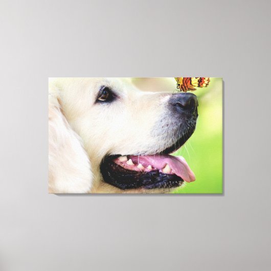 Labrador And Butterfly Throw Pillow Leinwanddruck (Vorderseite)