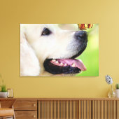 Labrador And Butterfly Throw Pillow Leinwanddruck (Insitu (Wohnzimmer))